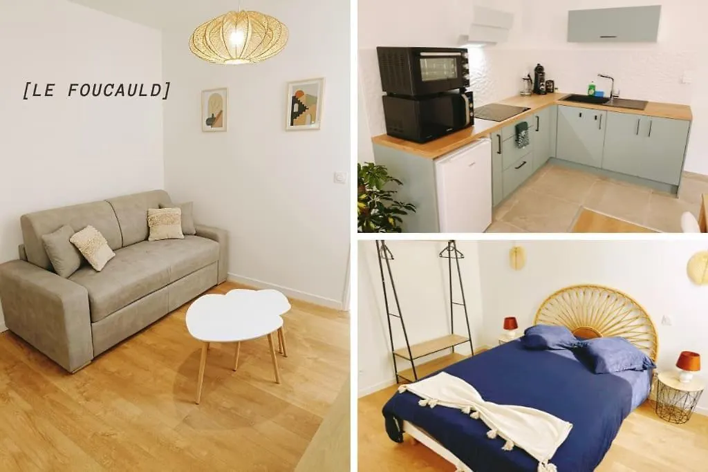 Le Foucauld 4 Canapes, Parking, Wifi Apartment Lourdes